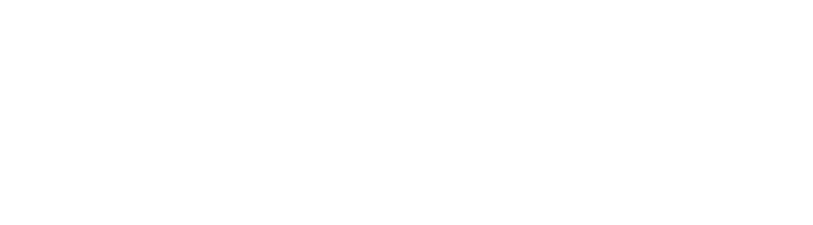 nullAxis Logo